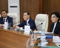 (KAZ) Қазақстан халқы Ассамблеясы мүшелерінің мемлекеттік органдар өкілдерімен кездесулері жалғасуда.